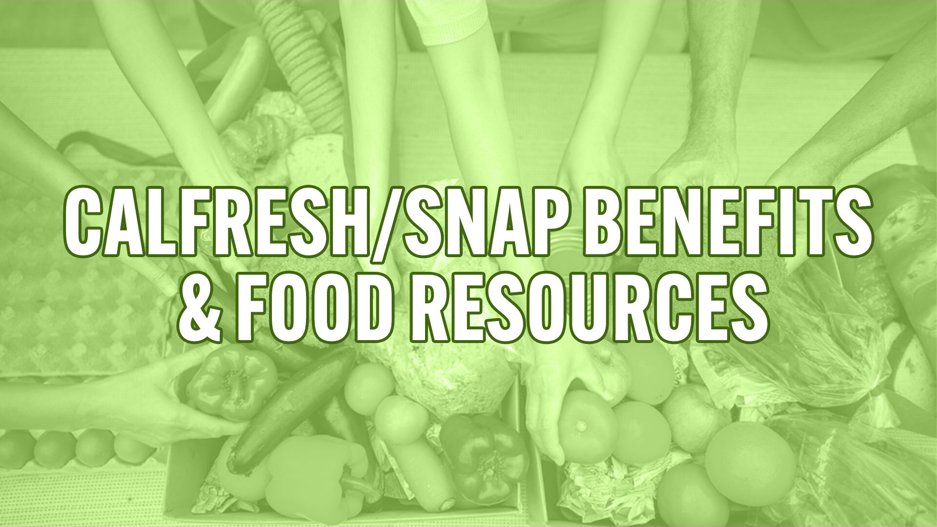 CalFresh/Snap Benefits and Food Resources Graphic