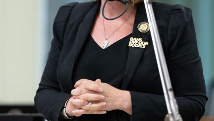Debating AB 460 on the Assembly Floor